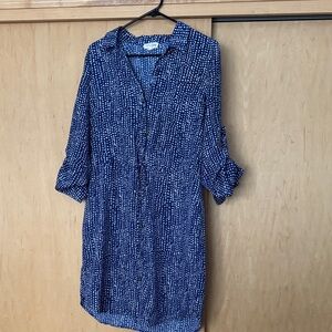 Blue and White Button-Up Dress